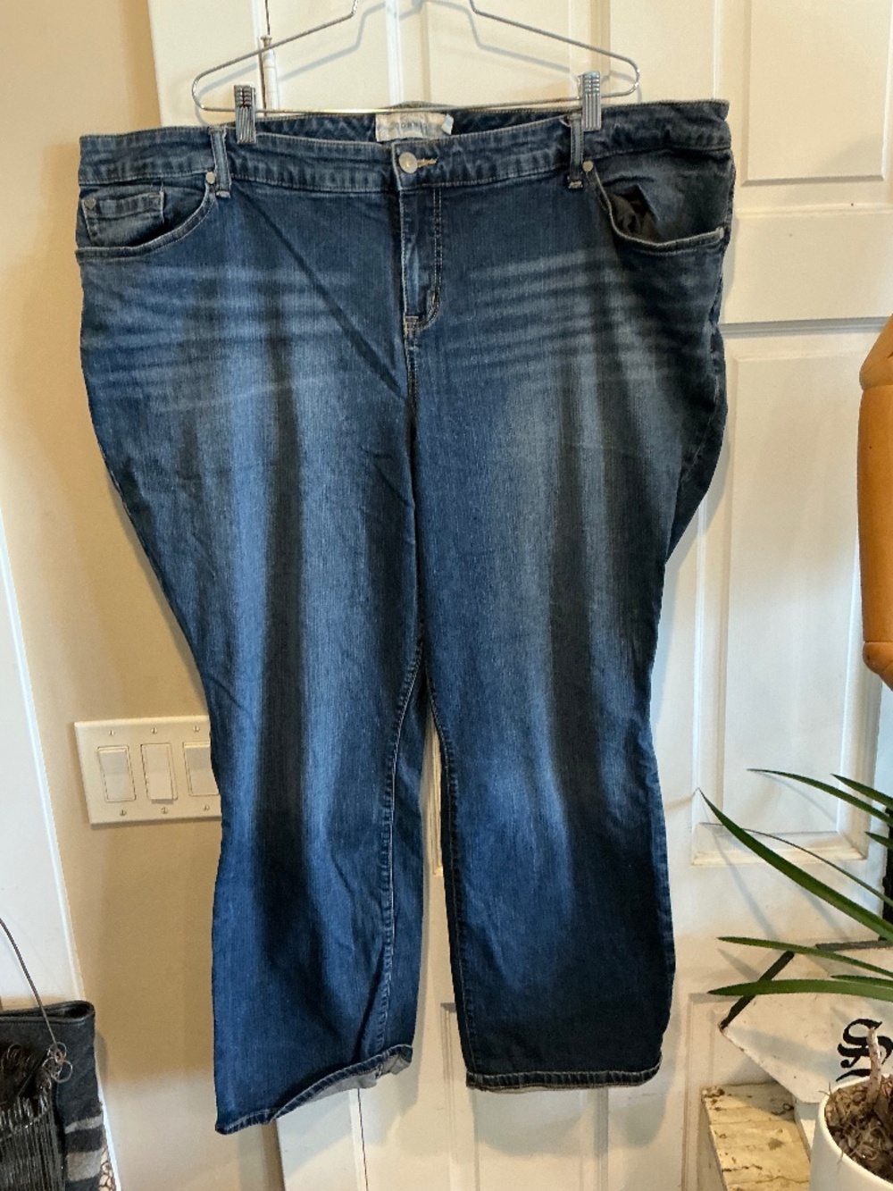 Torrid jeans. Plus size 26w